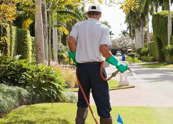 About Virgin UT Pest Control